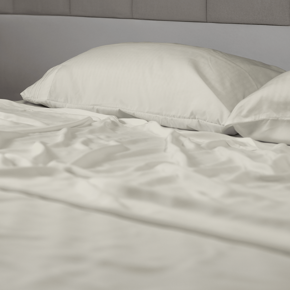 Microfiber - Dezaint