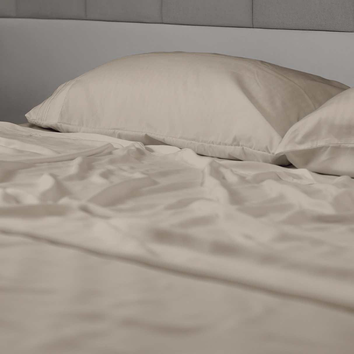 Microfiber - Dezaint